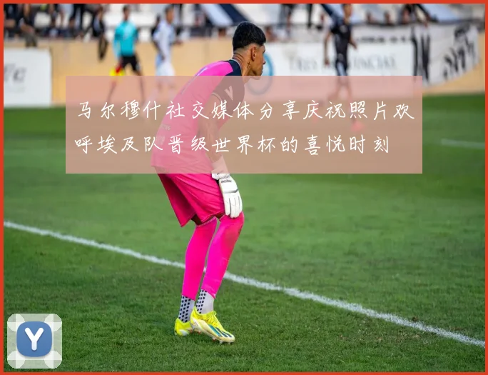 马尔穆什社交媒体分享庆祝照片欢呼埃及队晋级世界杯的喜悦时刻