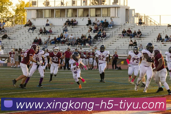 星空体育平台生态图