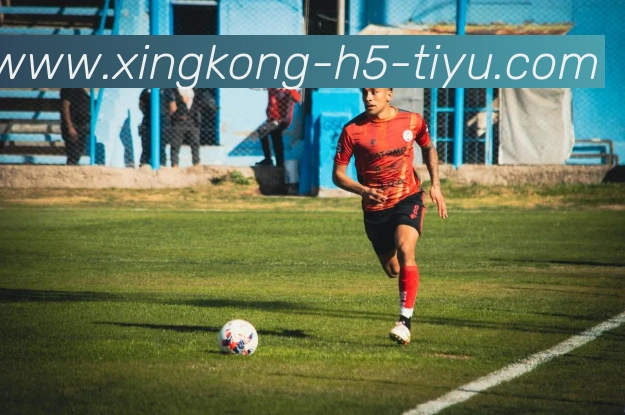 数据防护可视化